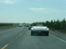 thm_P6090484.gif