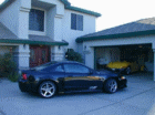 thm_P72100051.gif