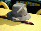 thm_P72100151.gif