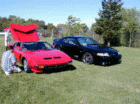 thm_P72100181.gif