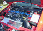thm_P72100381.gif