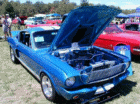 thm_P7230030.gif