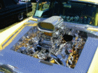 thm_P7230040.gif