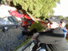 thm_PB162846.gif