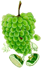 Napa Green Grape Tour Guide