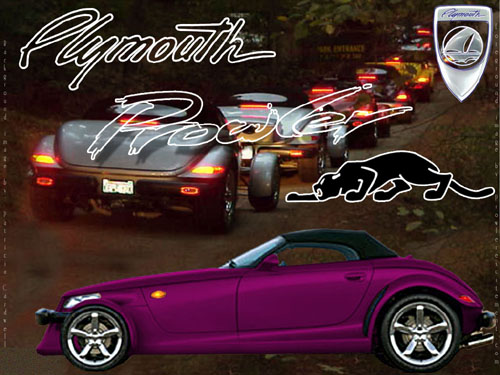PlymouthPurple