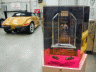 thm_P8151598.gif