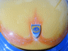 thm_P8161726.gif