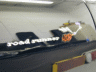 thm_P8161795.gif